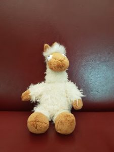 Read more about the article Exklusiv: Bernd – Das Lama, welches eigentlich ein Schaf sein will