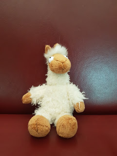 You are currently viewing Exklusiv: Bernd – Das Lama, welches eigentlich ein Schaf sein will