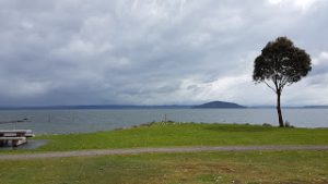 Read more about the article Von Rotorua nach Wellington