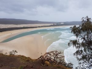 Read more about the article Fraser Island – Eine Insel aus Sand